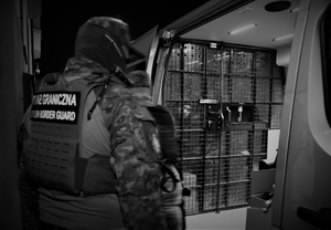 Funkcjonariusz SG podczas zatrzymania cudzoziemców