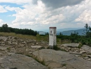 Sztafeta Wokół Niepodległej 