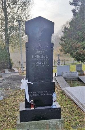 Grób Alojzego Friedla w Stonawie - Czechy, województwo morawsko-śląskie, powiat Karwina 