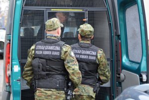 zatrzymany członek grupy przestępczej 