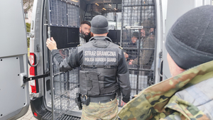 Zatrzymani nielegalni migranci 