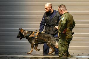 Funkcjonariusz Policji prowadzi psa po taśmie bagażowej Funkcjonariusz Policji prowadzi psa po taśmie bagażowej