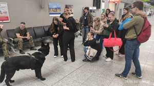  Pies Straży Granicznej -  lewej strony,  studenci robią mu zdjęcia.
