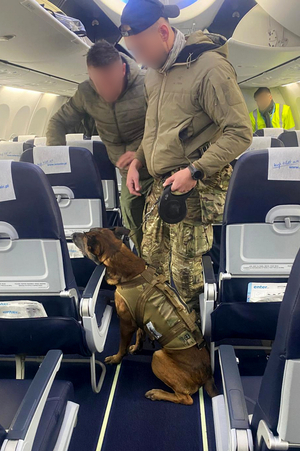 Wspólne ćwiczenia przewodników psów służbowych