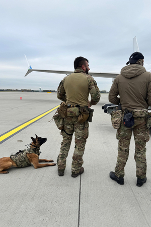 Wspólne ćwiczenia przewodników psów służbowych