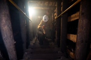 Szkolenie psów służbowych w Kopalni Węgla Kamiennego „Borynia-Zofiówka” Ruch „Zofiówka”