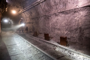 Szkolenie psów służbowych w Kopalni Węgla Kamiennego „Borynia-Zofiówka” Ruch „Zofiówka”