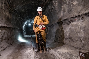 Szkolenie psów służbowych w Kopalni Węgla Kamiennego „Borynia-Zofiówka” Ruch „Zofiówka”