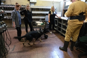 Szkolenie psów służbowych w Kopalni Węgla Kamiennego „Borynia-Zofiówka” Ruch „Zofiówka”