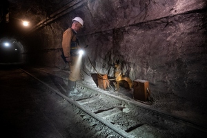 Szkolenie psów służbowych w Kopalni Węgla Kamiennego „Borynia-Zofiówka” Ruch „Zofiówka”