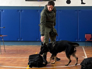 Cykl prelekcji dla uczniów śląskich szkół średnich