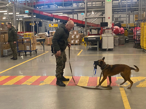 Hala przeładunkowa, funkcjonariusz z psem