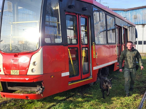 Pies, opiekun, zajezdnia tramwajowa