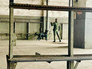 Pies z opiekunem chodzą po magazynie