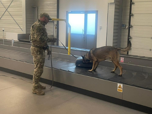 Pies i jego opiekun. Lotnisko Katowice. Taśma bagażowa.