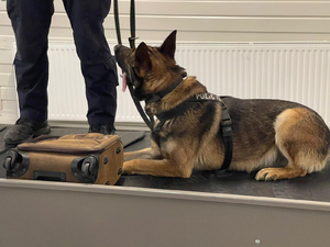 Pies i jego opiekun. Lotnisko Katowice. Taśma bagażowa.