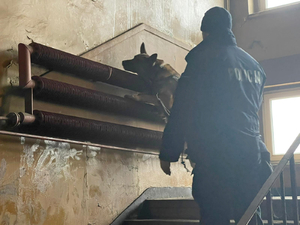 Pies z opiekunem. Klatka schodowa