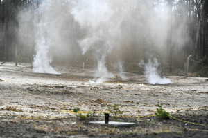 Szkolenie poligonowe w Krupskim Młynie