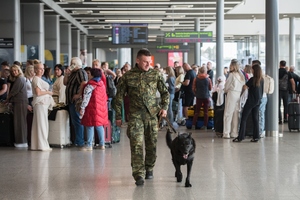  Funkcjonariusz SG przewodnik psa służbowego na lotnisku w Katowicach-Pyrzowicach