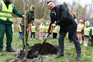 Sadzenie 35 klonów
