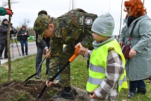 Sadzenie 35 klonów
