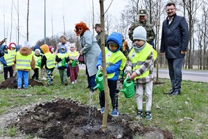 Sadzenie 35 klonów