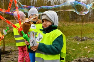 Sadzenie 35 klonów