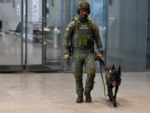  Funkcjonariusz Placówki SG w Katowicach-Pyrzowicach razem z psem służbowym