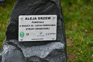  Kamień, na nim przytwierdzona tablica z napisem: Aleja drzew powstała z okazji 35 lecia Powołania Straży Granicznej. Październik 2026