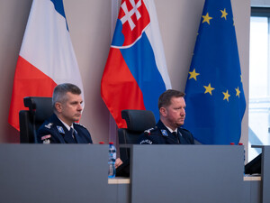 Międzynarodowa współpraca Straży Granicznej i Policji